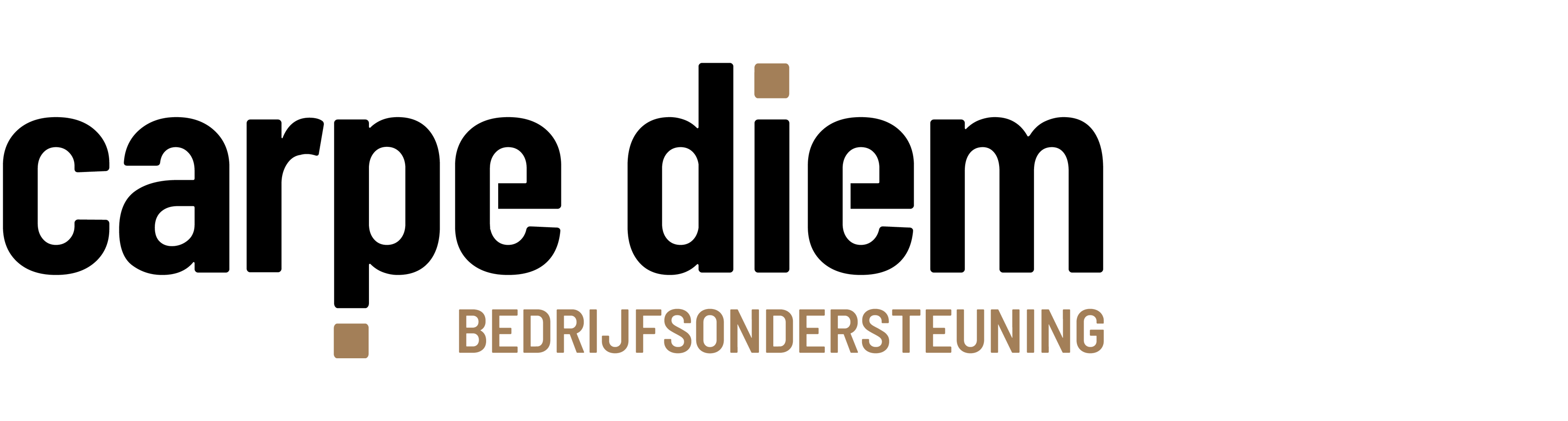 Carpe Diem Bedrijfsondersteuning_logo Carpe Diem Bedrijfsondersteuning