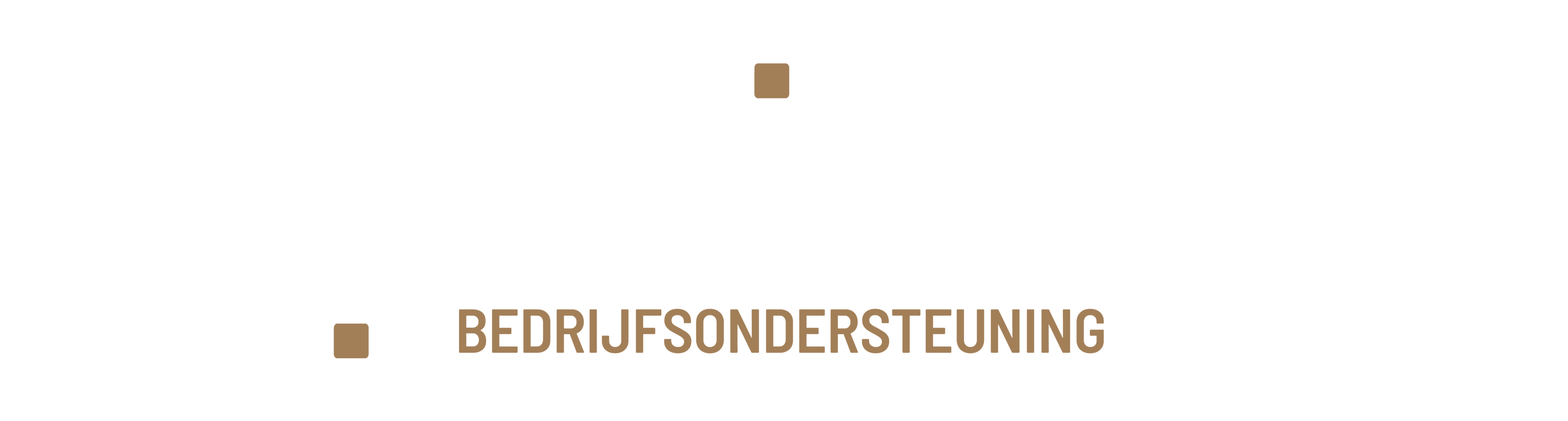 Carpe Diem Bedrijfsondersteuning_logowit